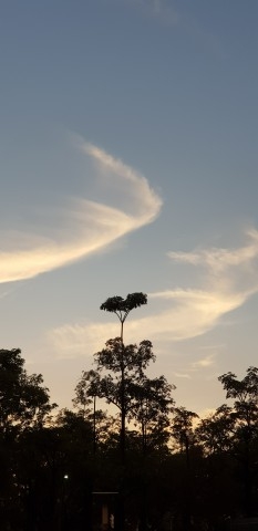  靜坐：以腦科學研究來看待2500年來的傳承 